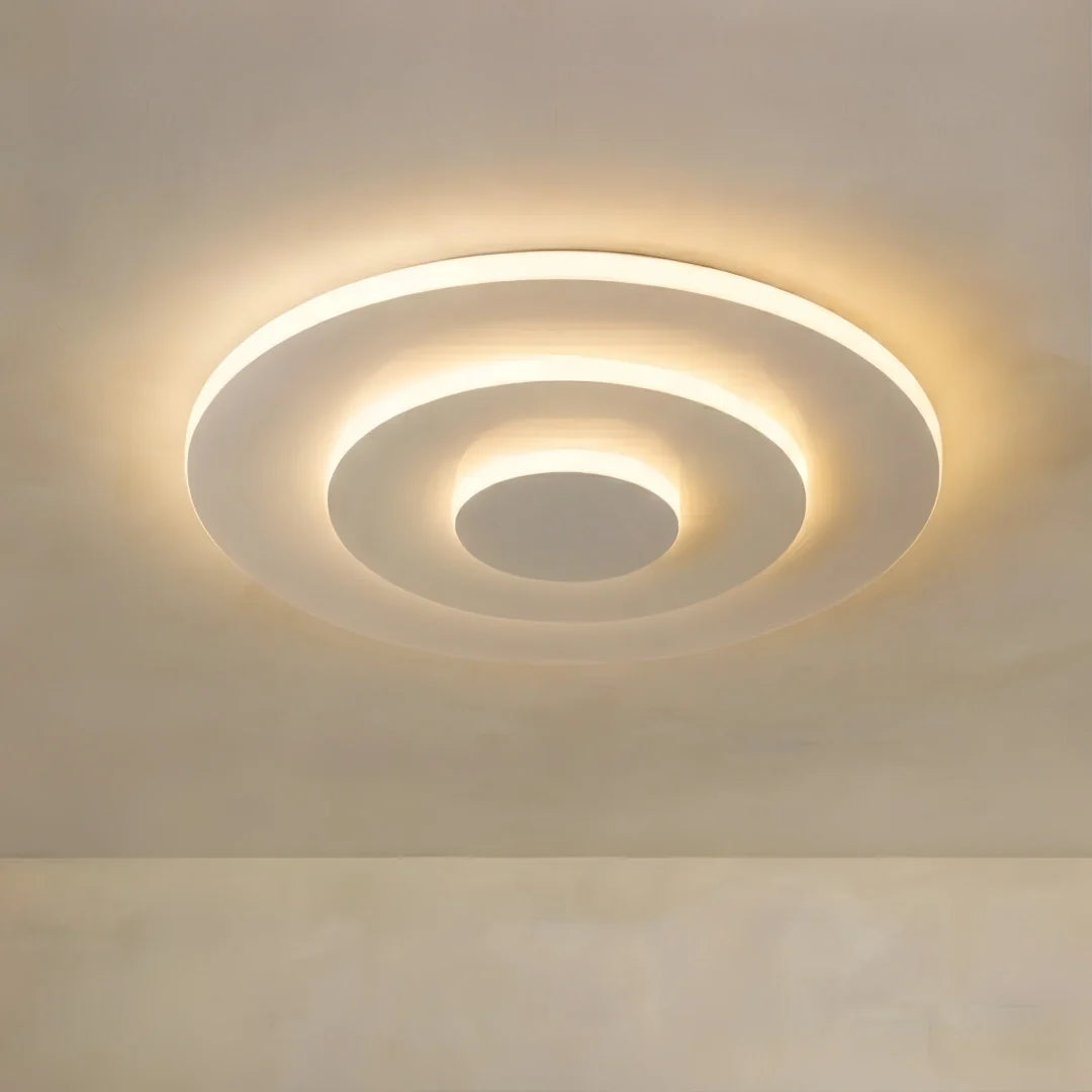Flush Mount Light Nordic Round Dimmable LED Ceiling Lamp