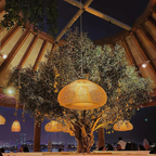 Pendant Light Rattan Woven Dome Shade E26/E27