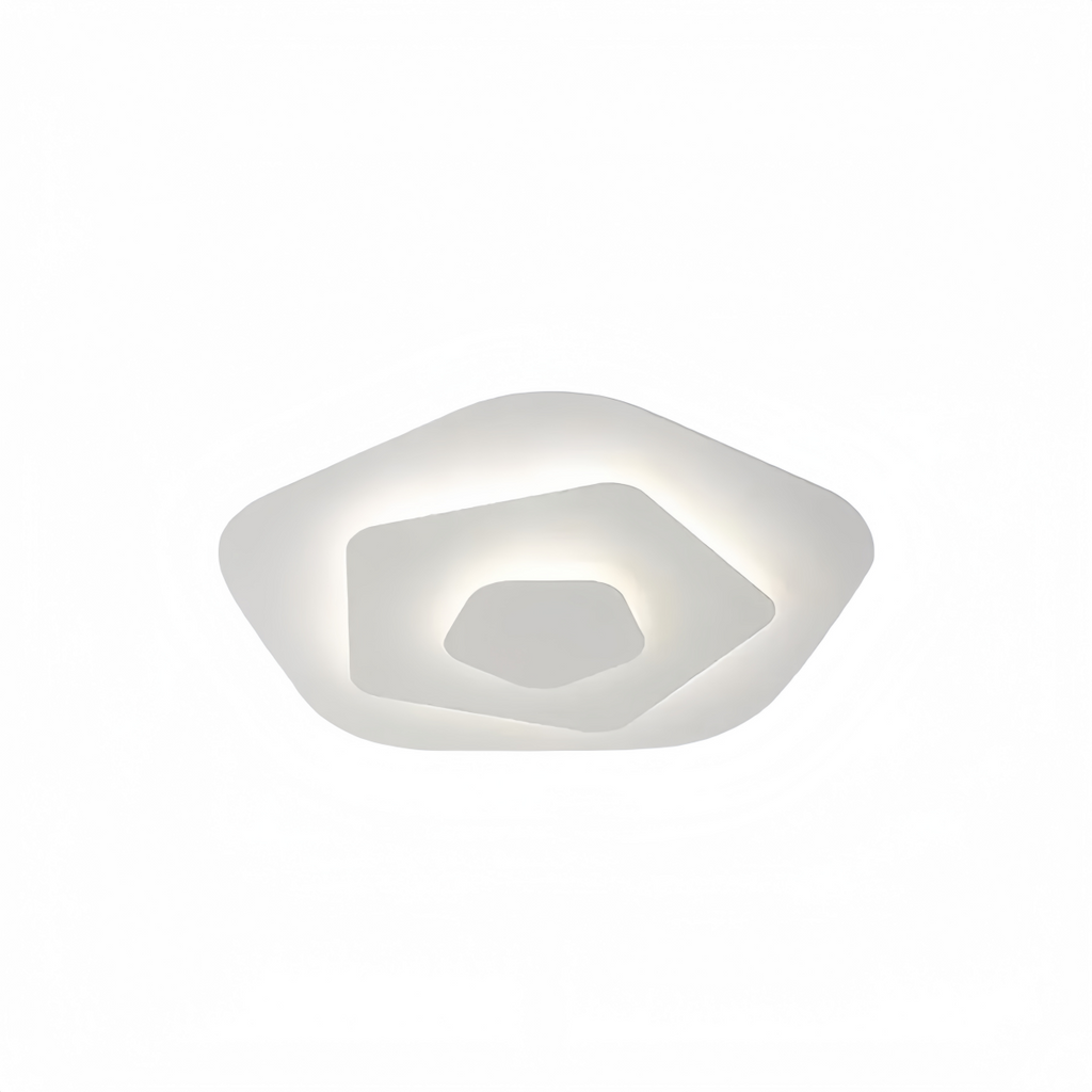 Flush Mount Light Nordic Round Dimmable LED Ceiling Lamp