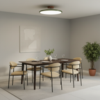 LED Ceiling Light Adjustable Head Semi-Flush Mount