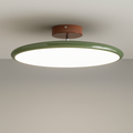LED Ceiling Light Adjustable Head Semi-Flush Mount