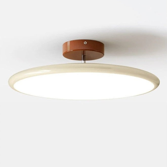 LED Ceiling Light Adjustable Head Semi-Flush Mount