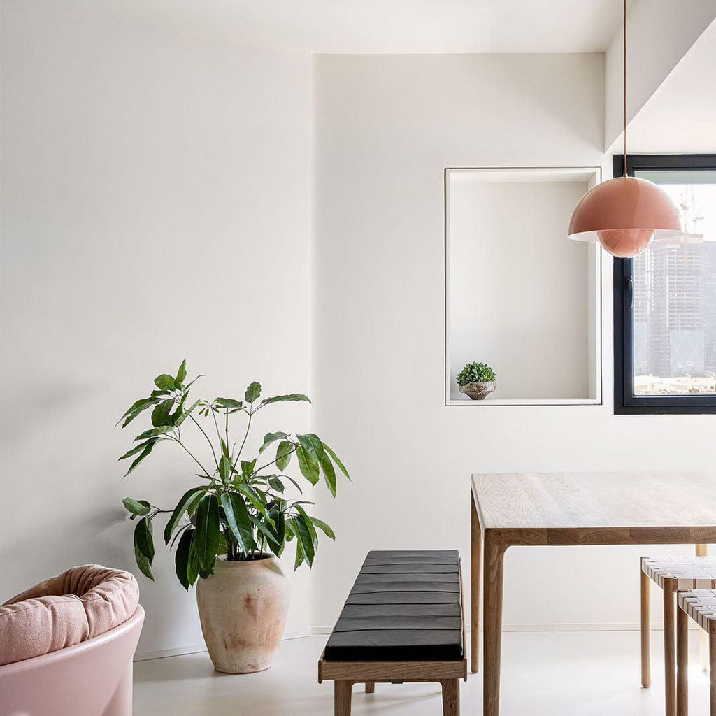 Pendant Light Dome Shade Floating Globe Diffuser