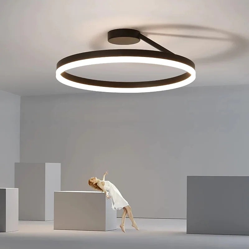 Ceiling Light Modern LED Flush Mount Black White Dimmable