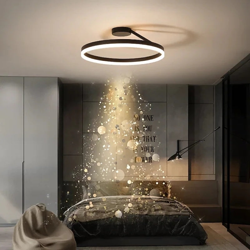 Ceiling Light Modern LED Flush Mount Black White Dimmable