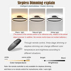 Ceiling Light Modern LED Flush Mount Black White Dimmable
