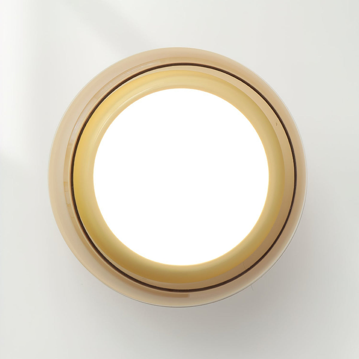 Glass Ceiling Lamp LED Dimmable Flush Mount Retro Style