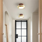 Glass Ceiling Lamp LED Dimmable Flush Mount Retro Style