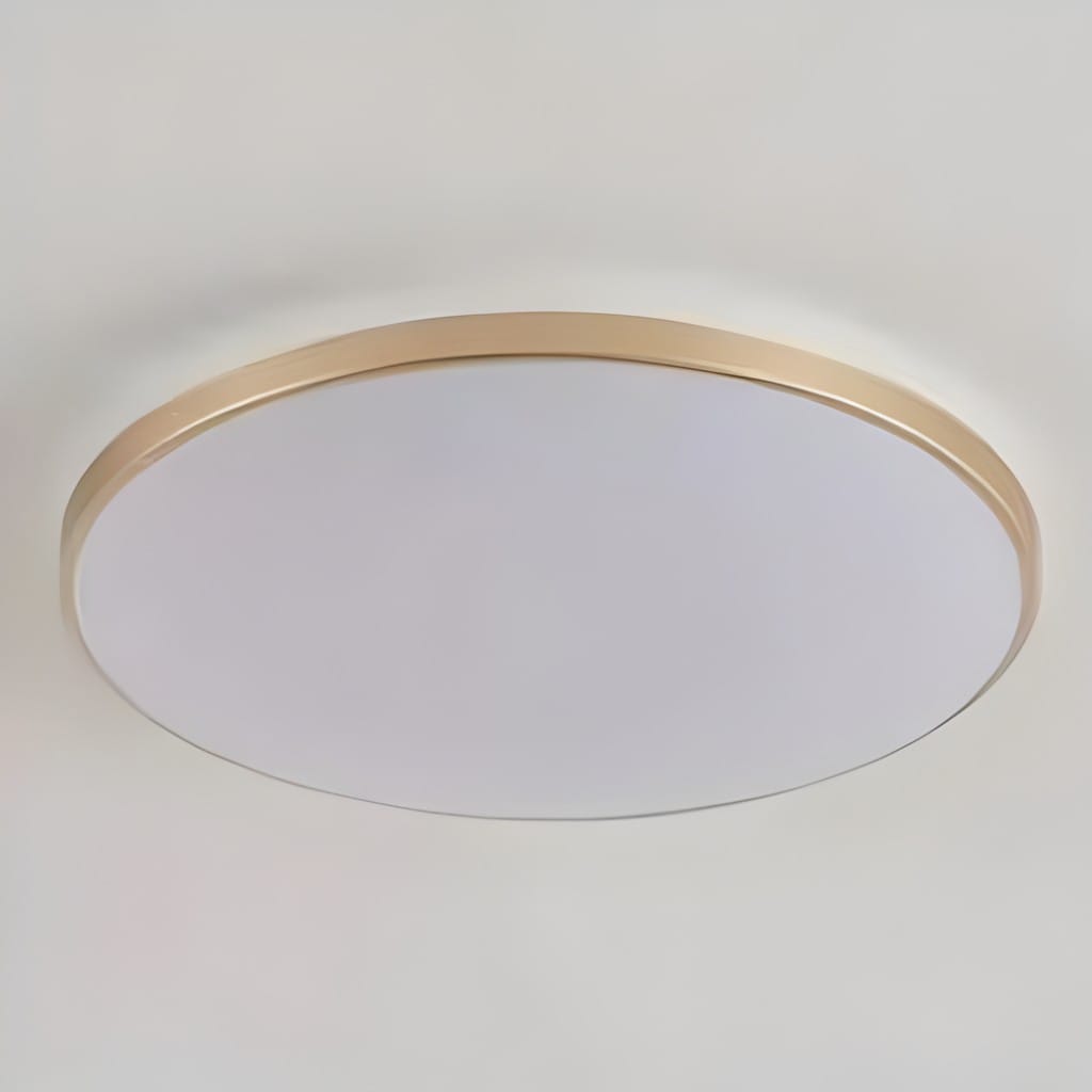 Ceiling Light Modern Round Flush Mount LED Kitchen