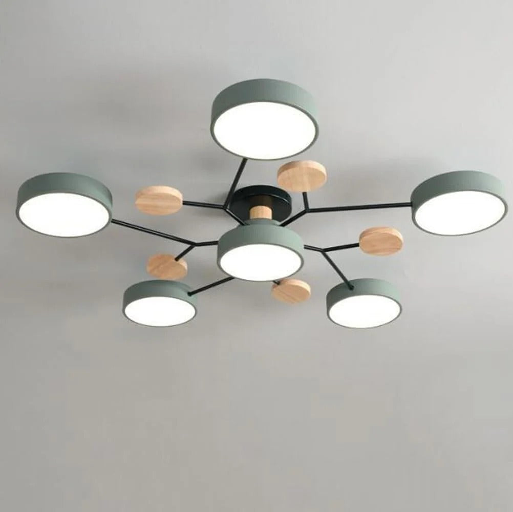 LED Ceiling Light Round Multi-Point Dimmable