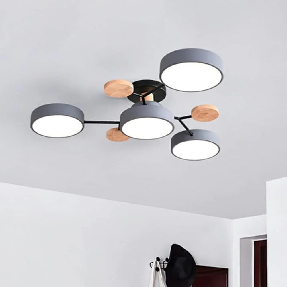 LED Ceiling Light Round Multi-Point Dimmable