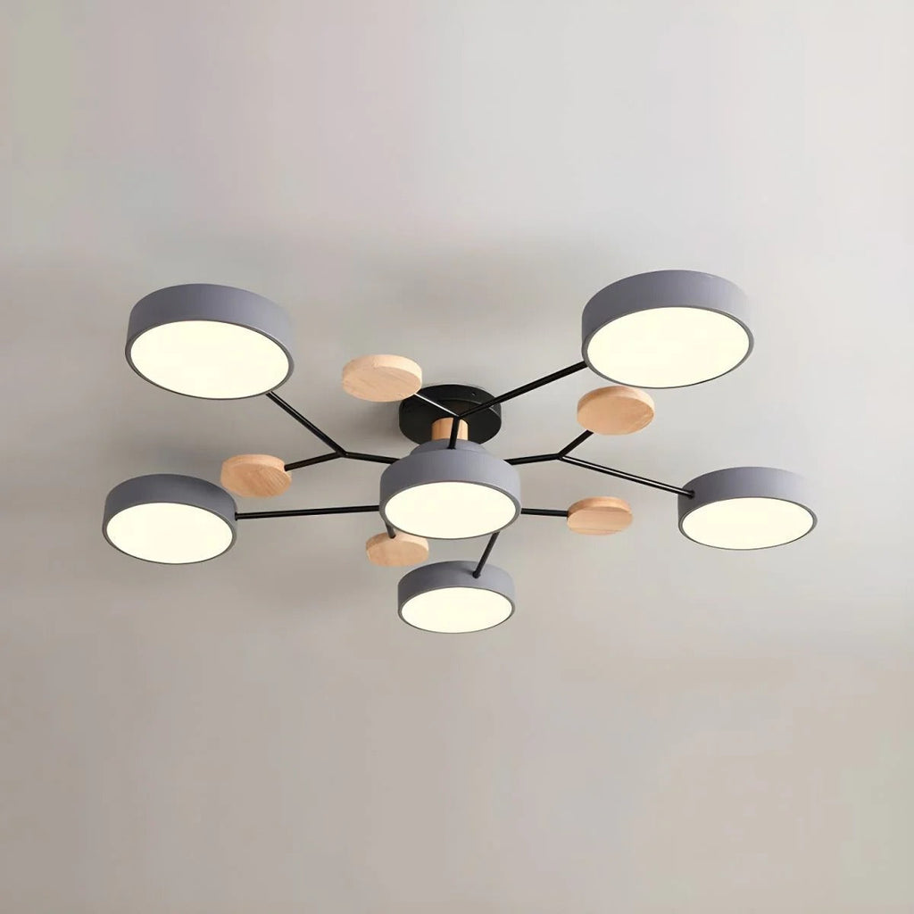 LED Ceiling Light Round Multi-Point Dimmable