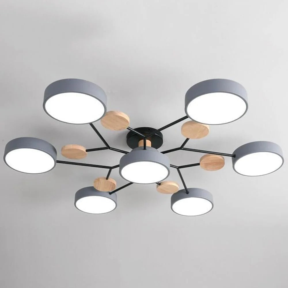LED Ceiling Light Round Multi-Point Dimmable