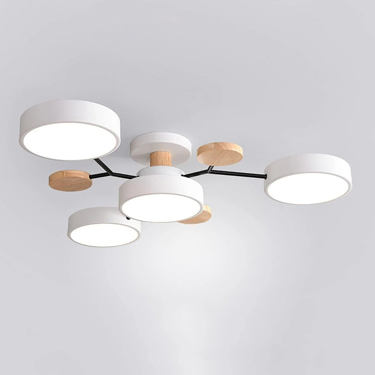 LED Ceiling Light Round Multi-Point Dimmable