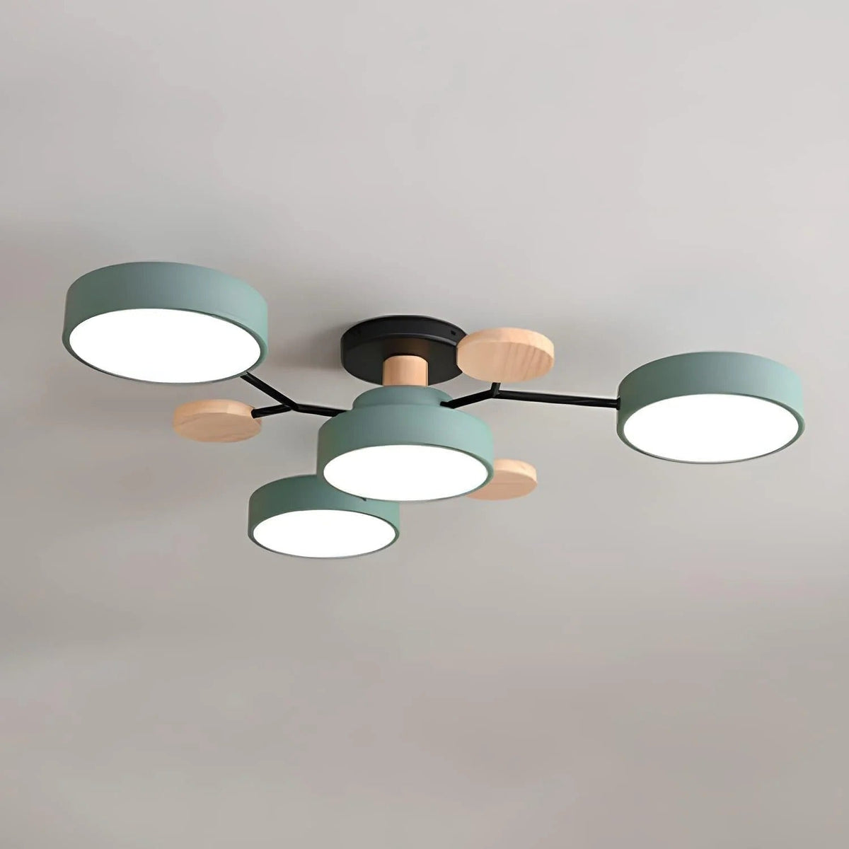 LED Ceiling Light Round Multi-Point Dimmable